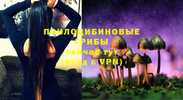 метадон Новозыбков