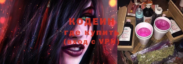 прущие грибы Нефтекумск