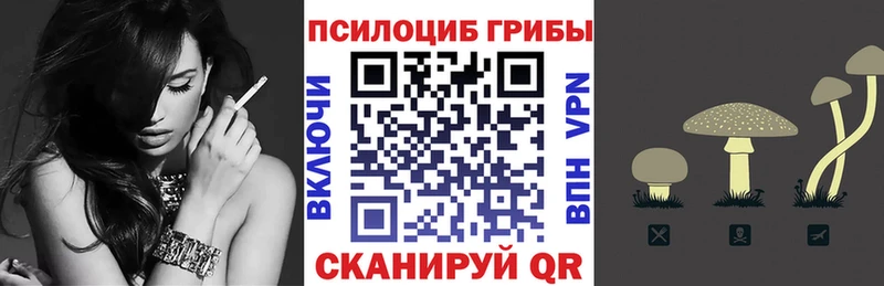 mega маркетплейс  где продают   Трубчевск  Галлюциногенные грибы Psilocybine cubensis 